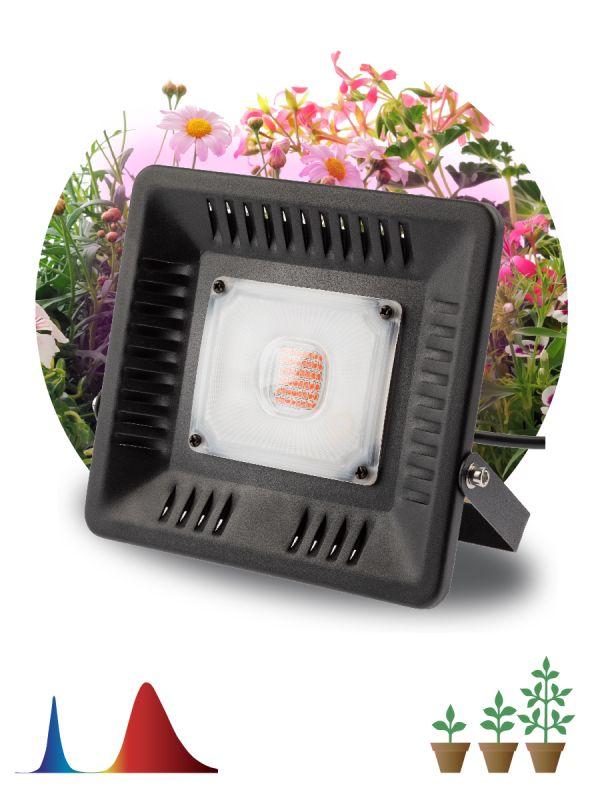 Прожектор светодиодный для растений FITO-50W-LED BLUERED 50Вт IP65 220-240В -30град. до + 45град. 30