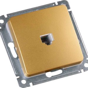 Розетка компьютерная СП механизм зол. HEGEL РСК-400-07