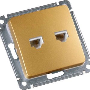 Розетка компьютерная + телефонная 2-м СП механизм зол. HEGEL РСКТ-440-07