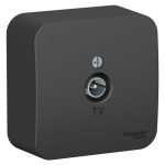 Розетка телевизионная TV ОП Blanca коннектор с изолир. пластиной антрацит SE BLNTA000016